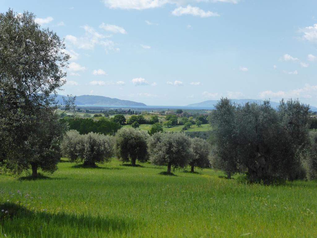 Campospillo Villa Magliano in Toscana Eksteriør bilde
