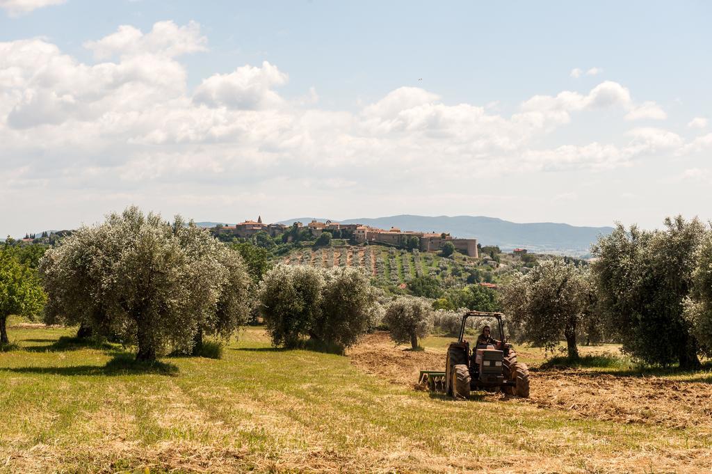 Campospillo Villa Magliano in Toscana Eksteriør bilde